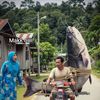 hanyirhunter_33