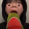 skr._.41728