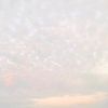 salwa_rima