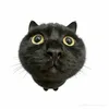 meomeimew