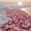 10salwa