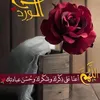 hadel053
