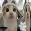 0_sofichx_0