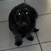 _tyler_04__