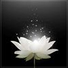 m.xuyen1305