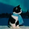 himasunil_06