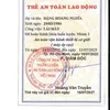 30520956385