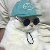 chillandcheese