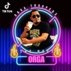 orga_official