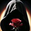 nabeel_ansare952