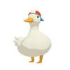 duck_1188