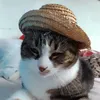 kishaukinoa