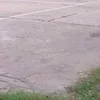 zinedinz99