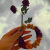 queenfire48