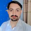 hamid_malik16