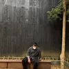 nghiamauxanh