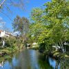 _ilbeyli2748_