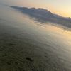 monymostafa072