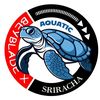 taiji95