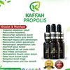 pakcutkmulia