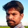sekar.26742132