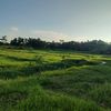 khairulislamimran8