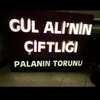 gulali1989