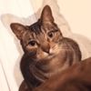 user12023509