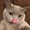 didienu
