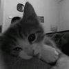eye_o2x