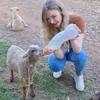 littlefarm_br