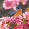 _hatice_gul_00