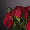 _laura_lbr_
