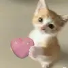xixixigwrll