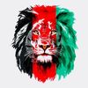 king_alizai