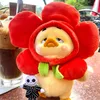 mohon0312