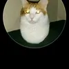 useru77cx2fj3o