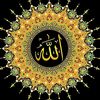 islam313.1