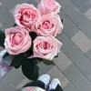 wissal61298428