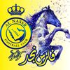 فارس نجد 💛💙