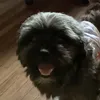 cutesyobisidi