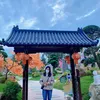 maimai11033