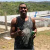 magnomuller