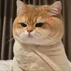 thai03022000