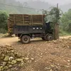1huyhoangg
