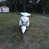 mityy82