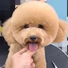 heo_715