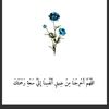 user50630737
