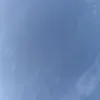 hahaa241