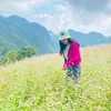 thidung1992